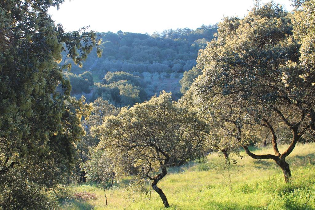 Cabana El Mirador Konuk evi Pedroso de Acim Dış mekan fotoğraf