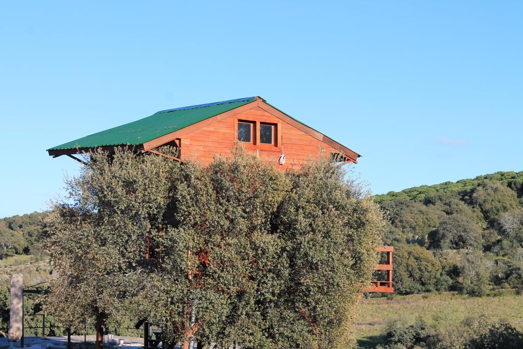 Cabana El Mirador Konuk evi Pedroso de Acim Dış mekan fotoğraf