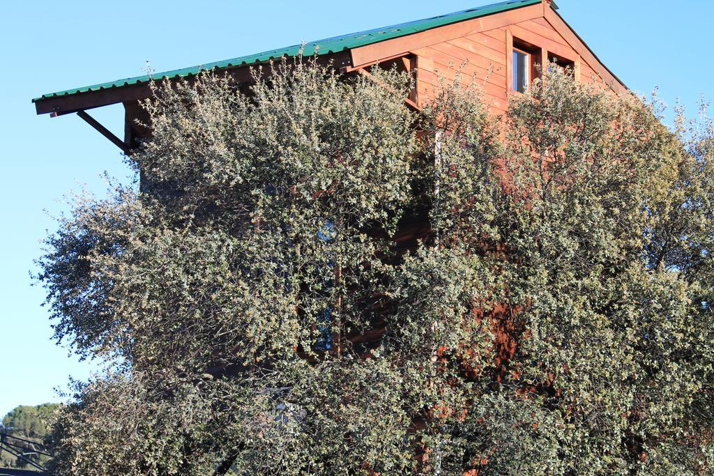 Cabana El Mirador Konuk evi Pedroso de Acim Dış mekan fotoğraf